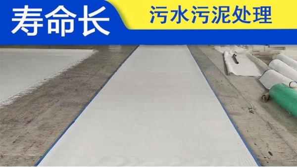 聚酯網(wǎng)帶廠家?guī)惴治鼍埘ナ袌?chǎng)發(fā)展現(xiàn)狀——旭瑞網(wǎng)業(yè)